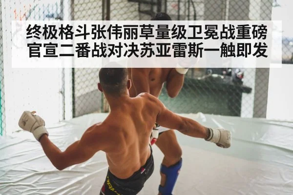 martial arts fight