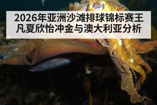 2026年亚洲沙滩排球锦标赛王凡夏欣怡冲金与澳大利亚分析